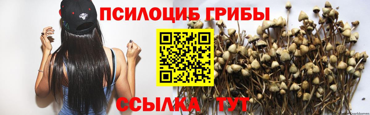 Галлюциногенные грибы прущие грибы Пушкино